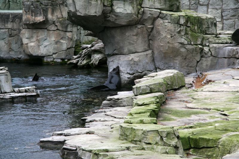 Frankfurt Zoo