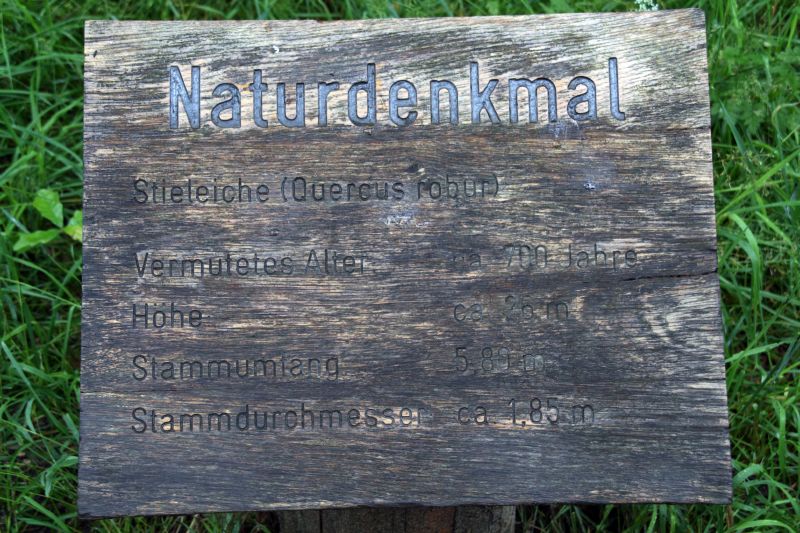 Nationalpark Mritz