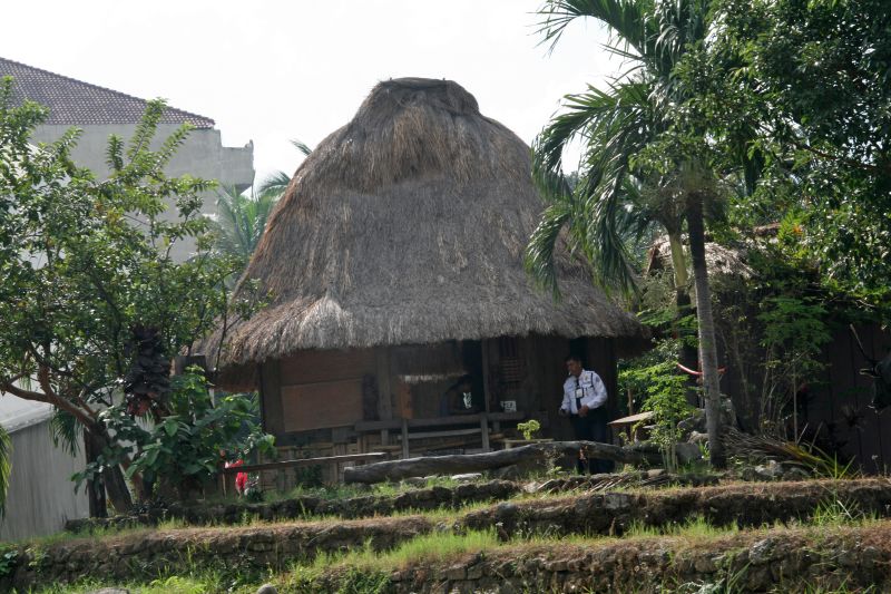 Intra muros native house