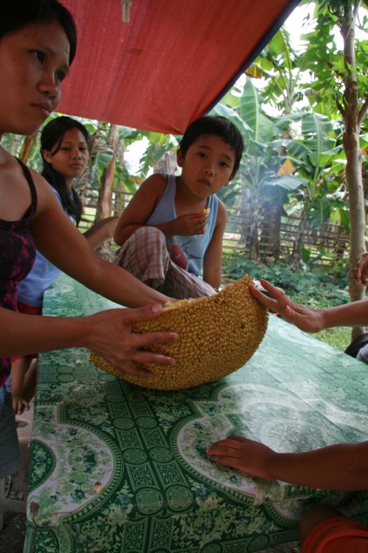 Greenhills Jack fruit