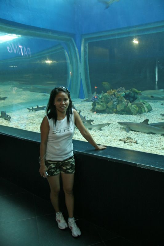 Manila Ocean Park sharks