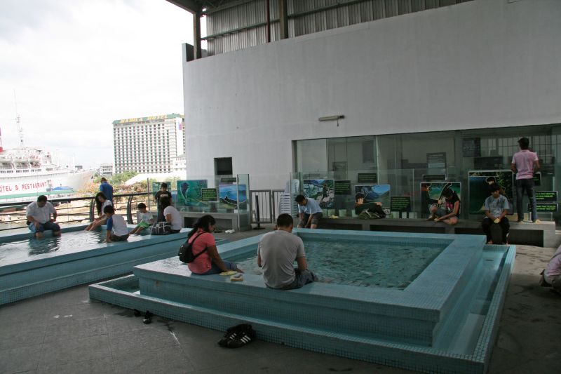 Manila Ocean Park fish spa