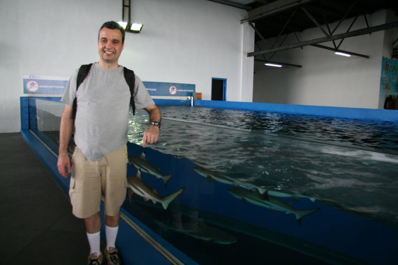 Manila Ocean Park shark pool