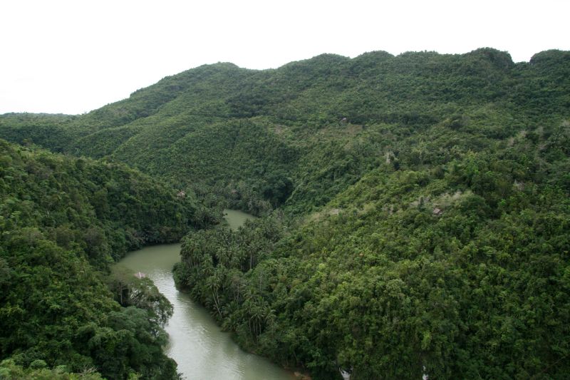 Loboc river