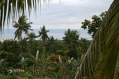 Greenhills in background Bohol