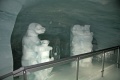 Jungfraujoch ice cave