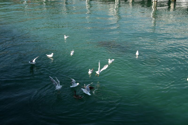 Lake Neuchatel