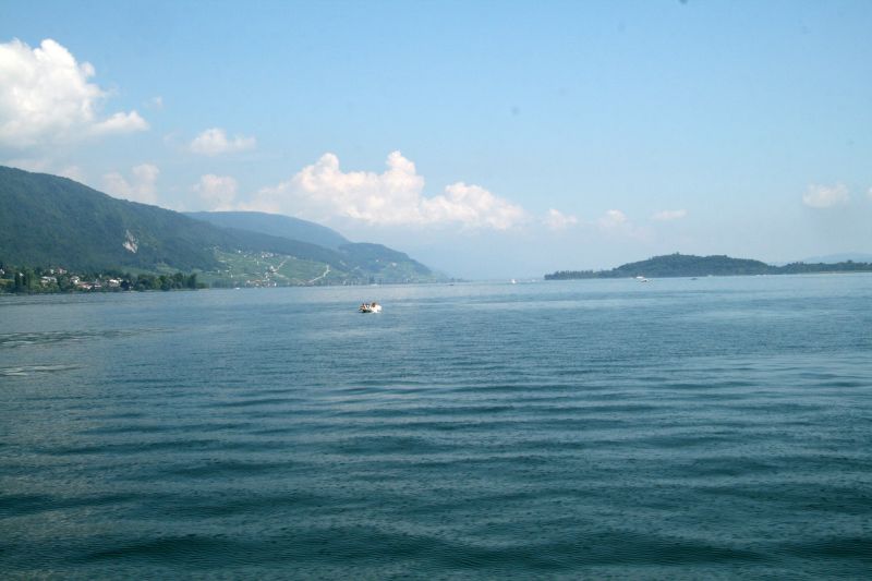 Bielersee im Hintergrund St. Petersinsel