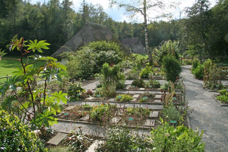 Ballenberg herbal garden