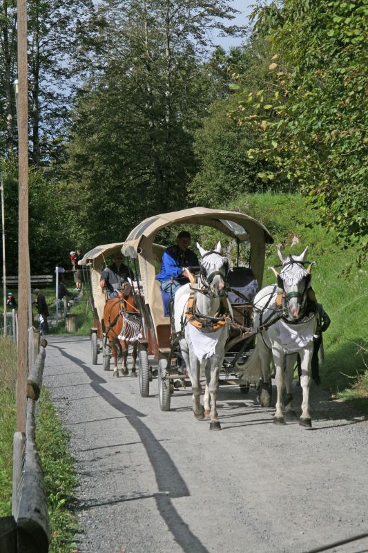 Ballenberg Coach