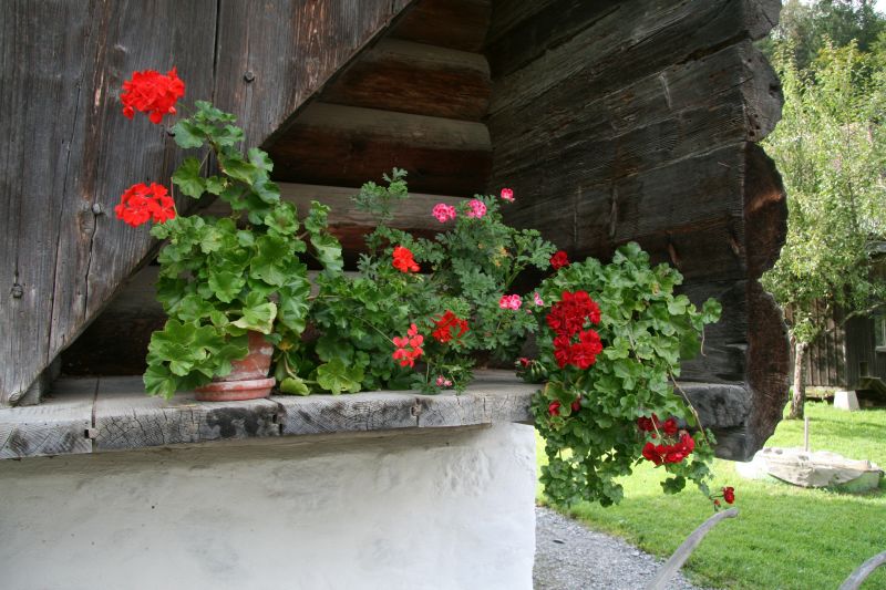 Ballenberg Huser aus dem Bernbiet