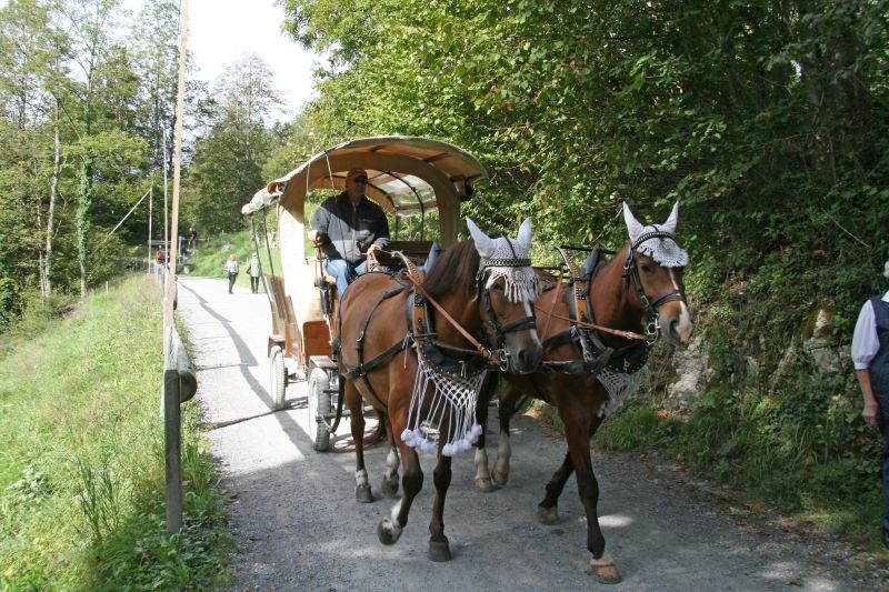 Ballenberg Kutsche