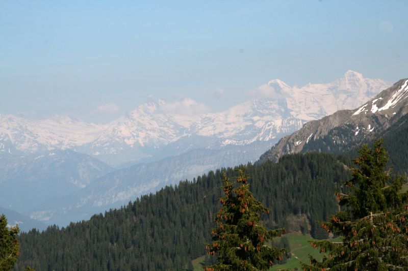 Gurnigel Blick Richtung Eiger Mnch und Jungfrau