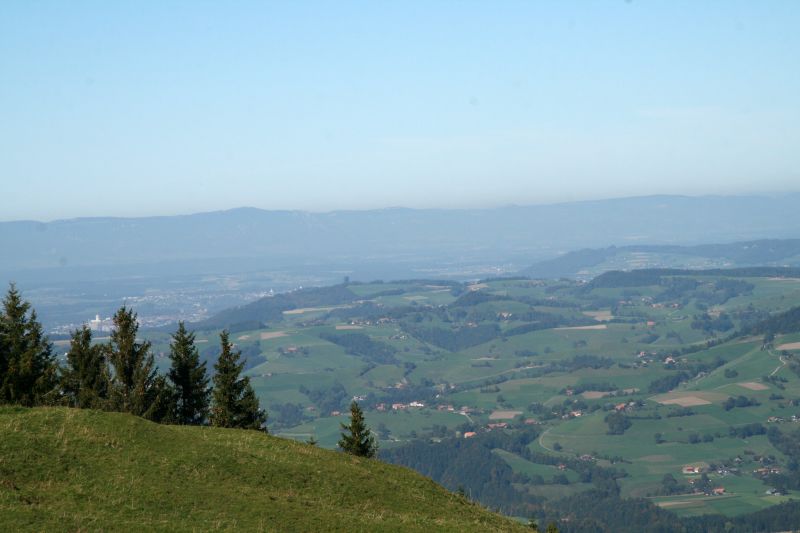 Schwarzenbhl