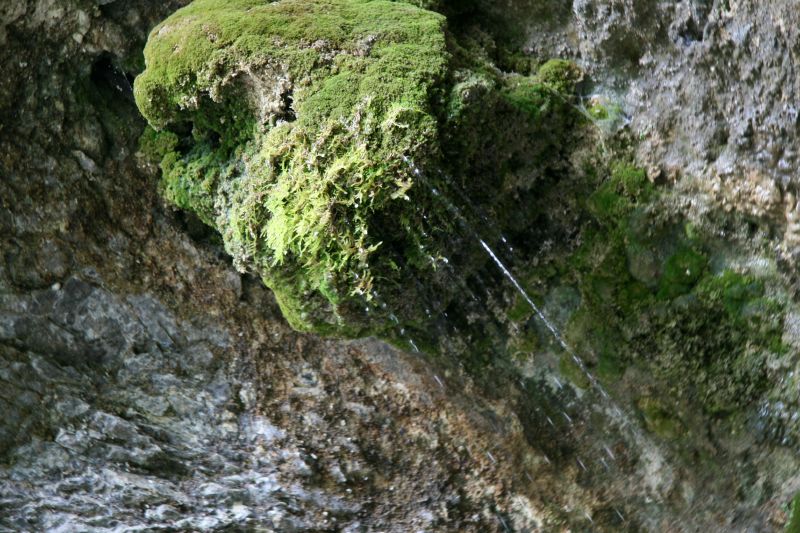 Reichenbach falls