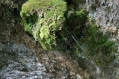 Reichenbach falls