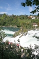 Rhein falls