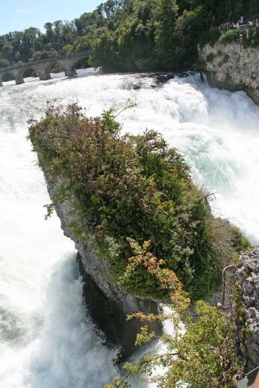 Rheinfall auf dem Felsen