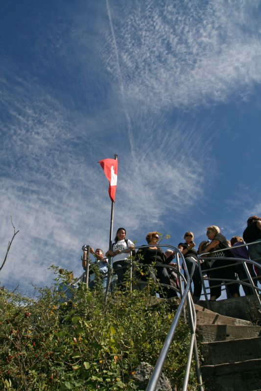 Rheinfall auf dem Felsen