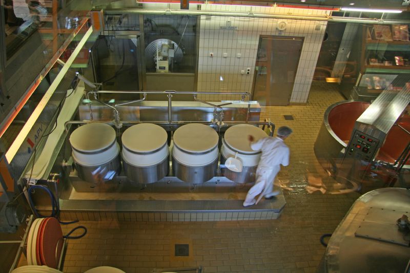 Watching cheese dairy Affoltern in Emmental