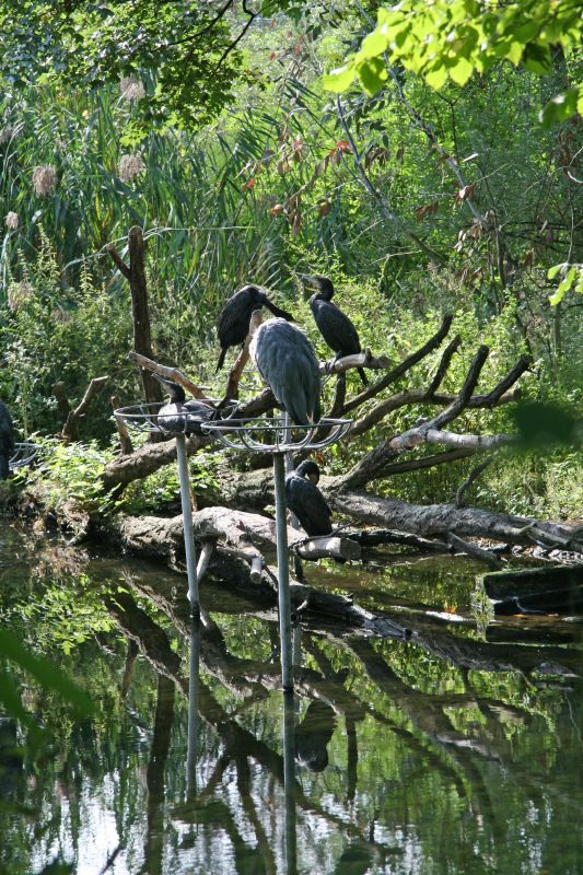 Zoo Basel