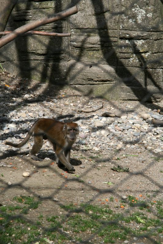 Zoo Basel