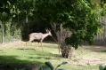 Zoo Basel