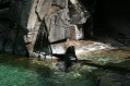 Zoo Basel