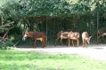 Zoo Basel