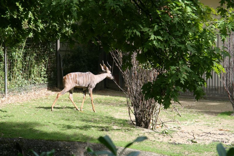 Zoo Basel