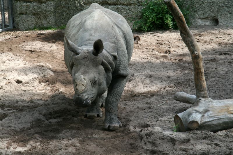 Zoo Basel