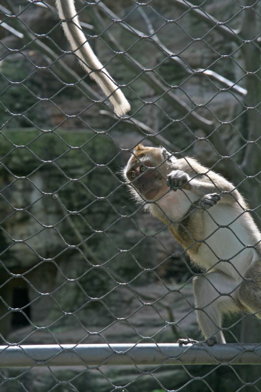 Zoo Basel