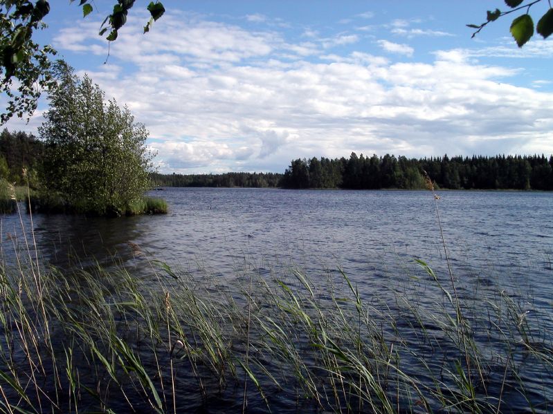 Zwischen Jyvskyl und Kuopio