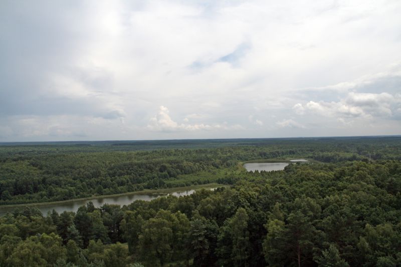 National park Mueritz