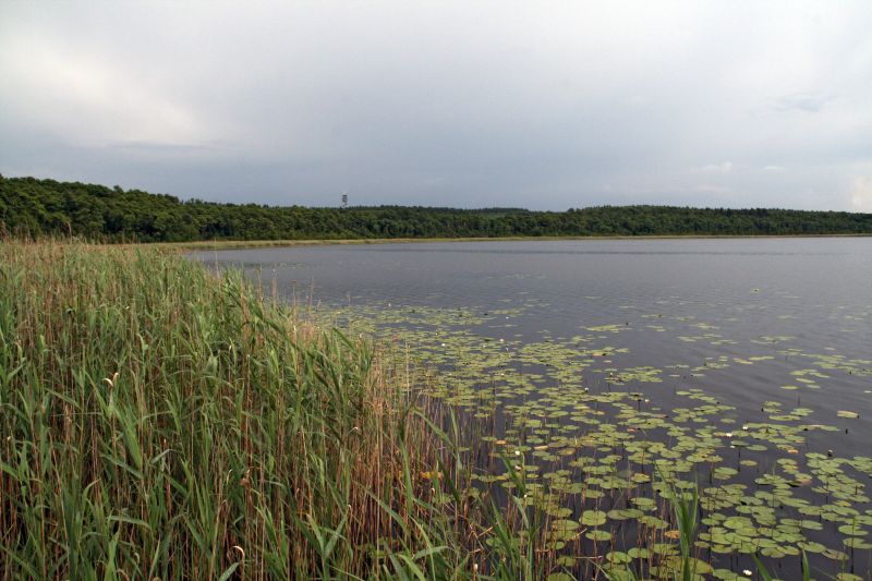 National park Mueritz