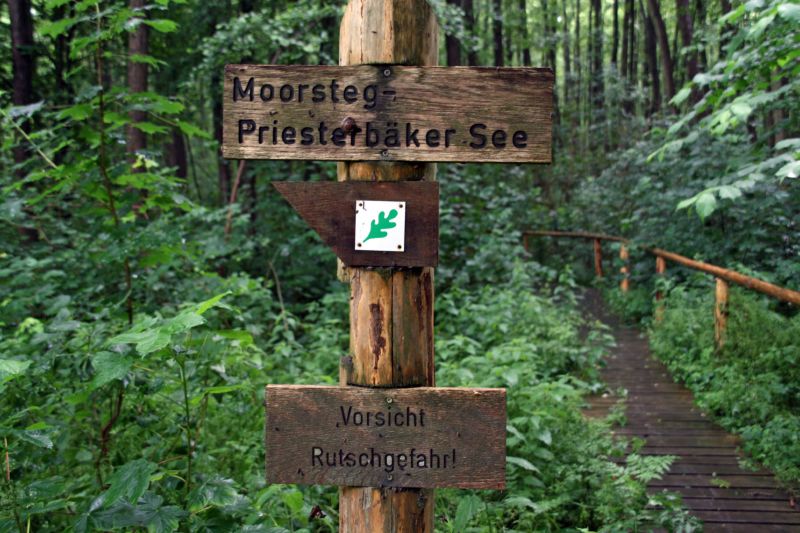 National park Mueritz