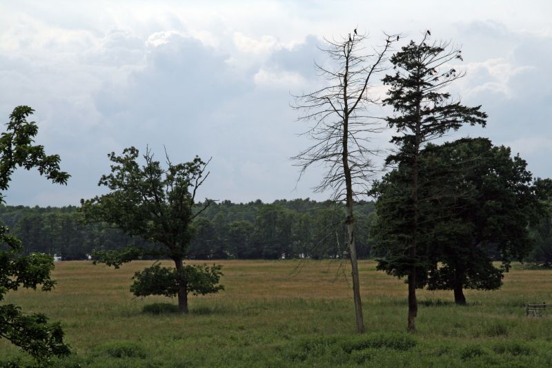 National park Mueritz