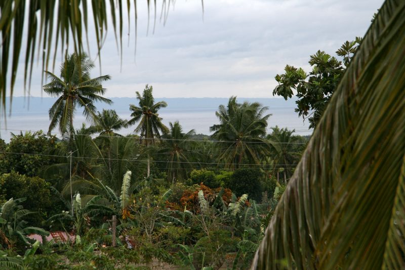 Greenhills im Hintergrund Bohol