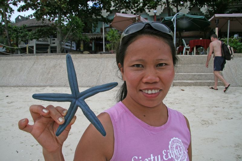 Seastar