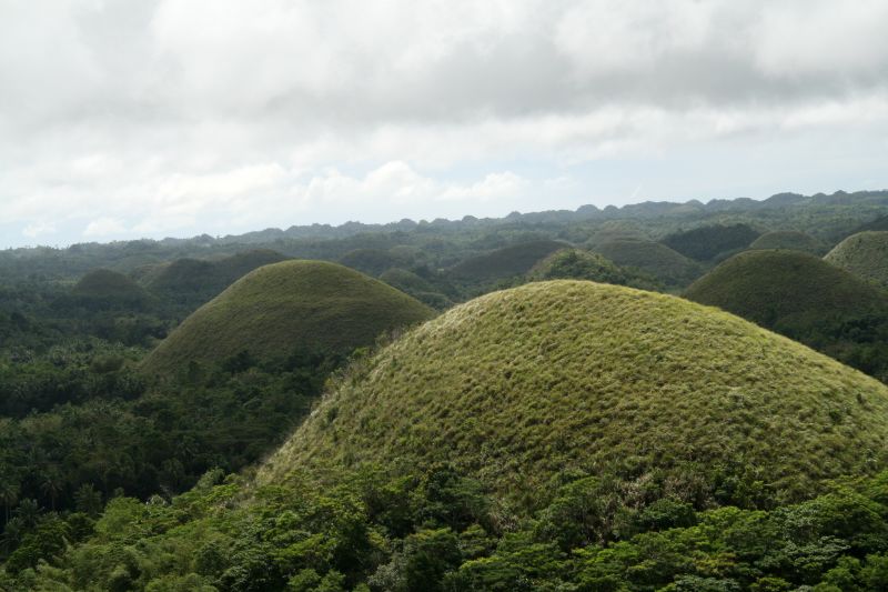 Chocolate Hills