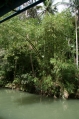 Loboc River