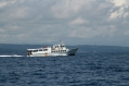 Between Cebu Island and Negros