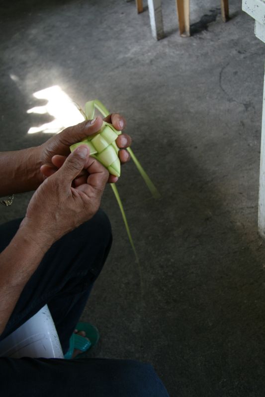 Hanging Rice