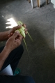 Hanging Rice