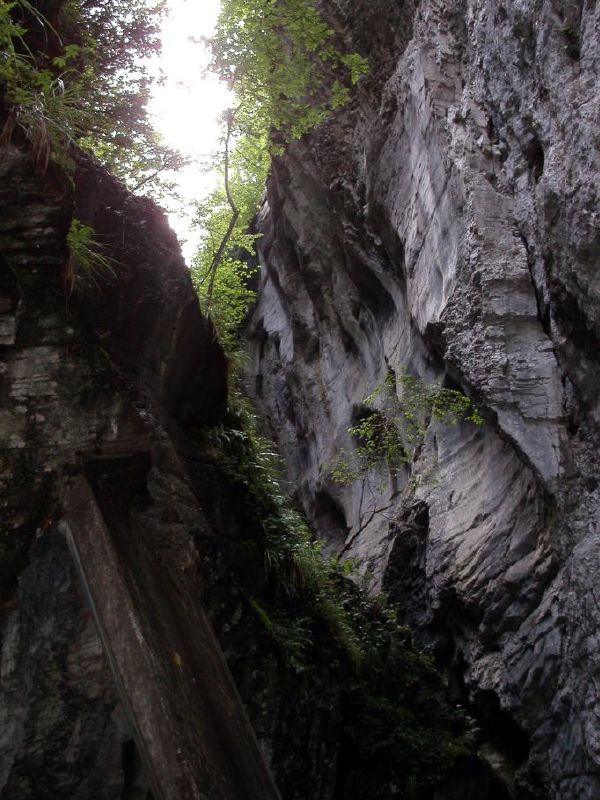 Aareschlucht steep rocks