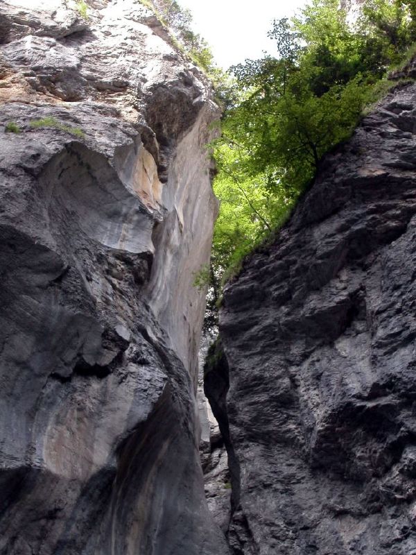 Aareschlucht steile Felswnde