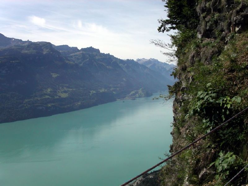 Blick zum Brienzersee