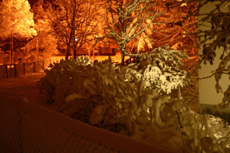 Winterstimmung 2008