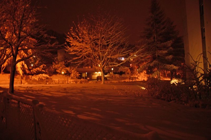 Winterstimmung 2008