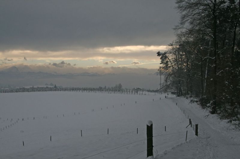 Winterstimmung 2008